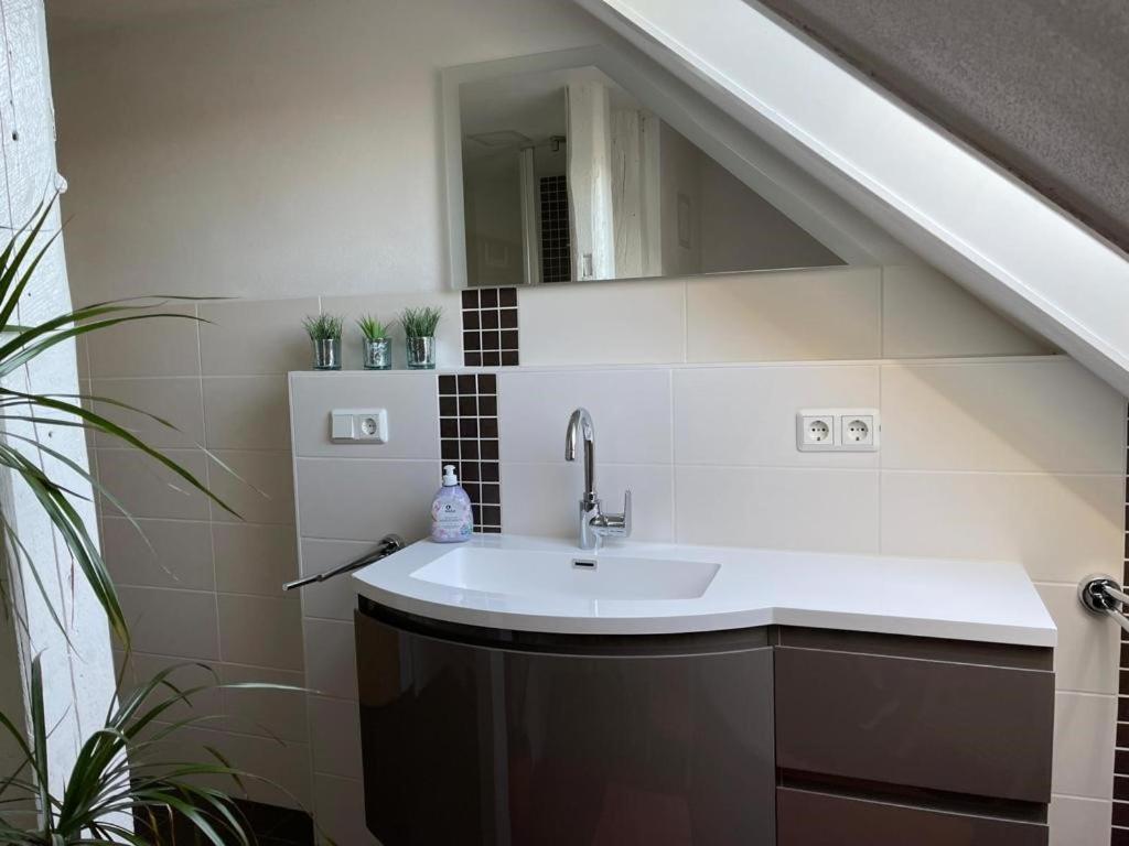 Ferienwohnung Kreft Thale Exteriér fotografie